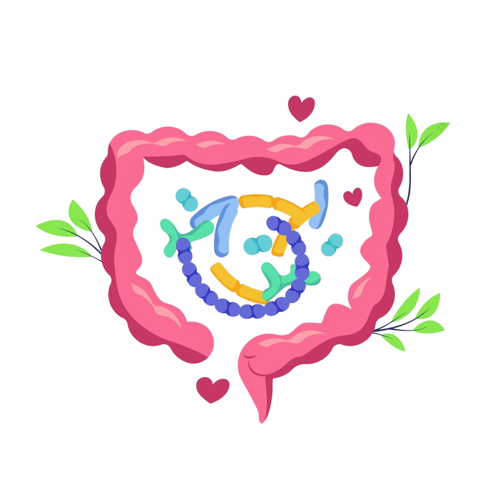 Zdravé zažívání a bez parazitů