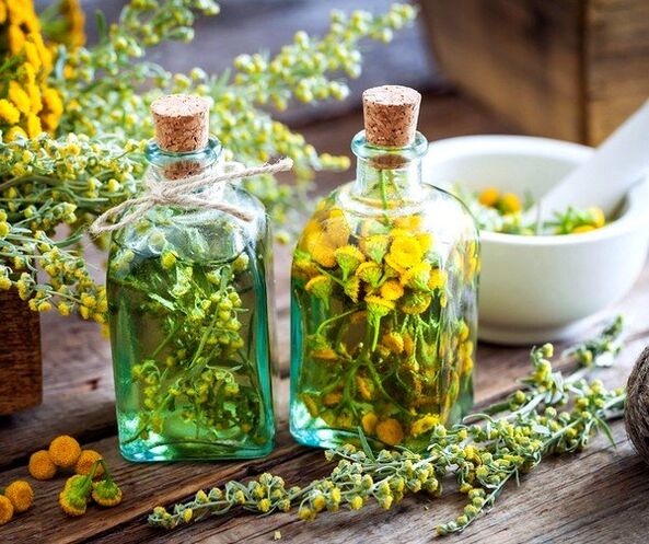 tinktura tansy pro odstranění červů